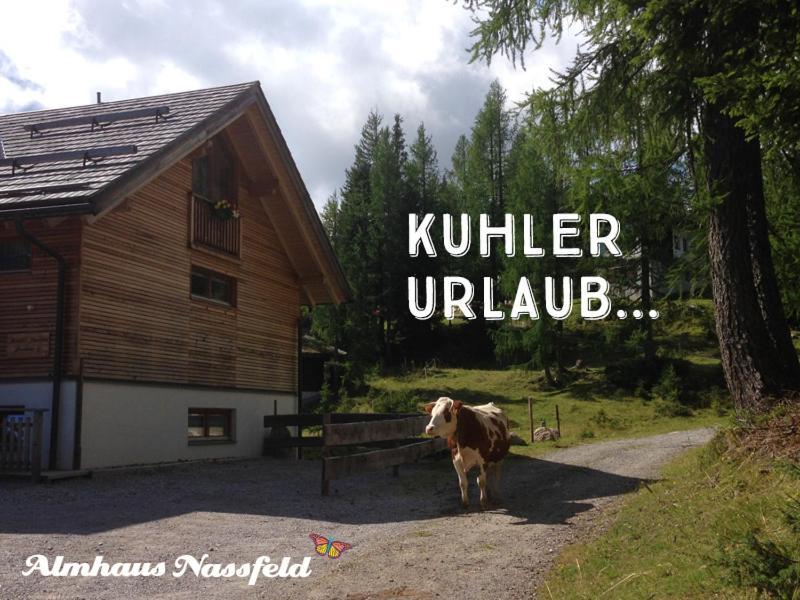Almhaus Nassfeld Apartment Sonnenalpe Nassfeld Exterior foto